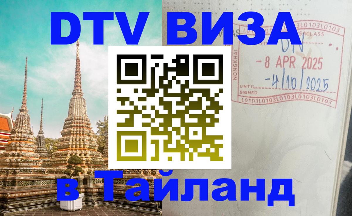 Сколько стоит DTV виза — актуальные цены, оформление даже без документов - 09.01.2026 